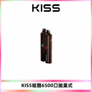 KIS5WAGOO哇酷6500口拋棄式 | 自由混搭雙口味 | 雙芯組合