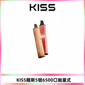 KIS5鎧斯5號一次性6500口磁吸式拋棄式電子煙#自由混搭#